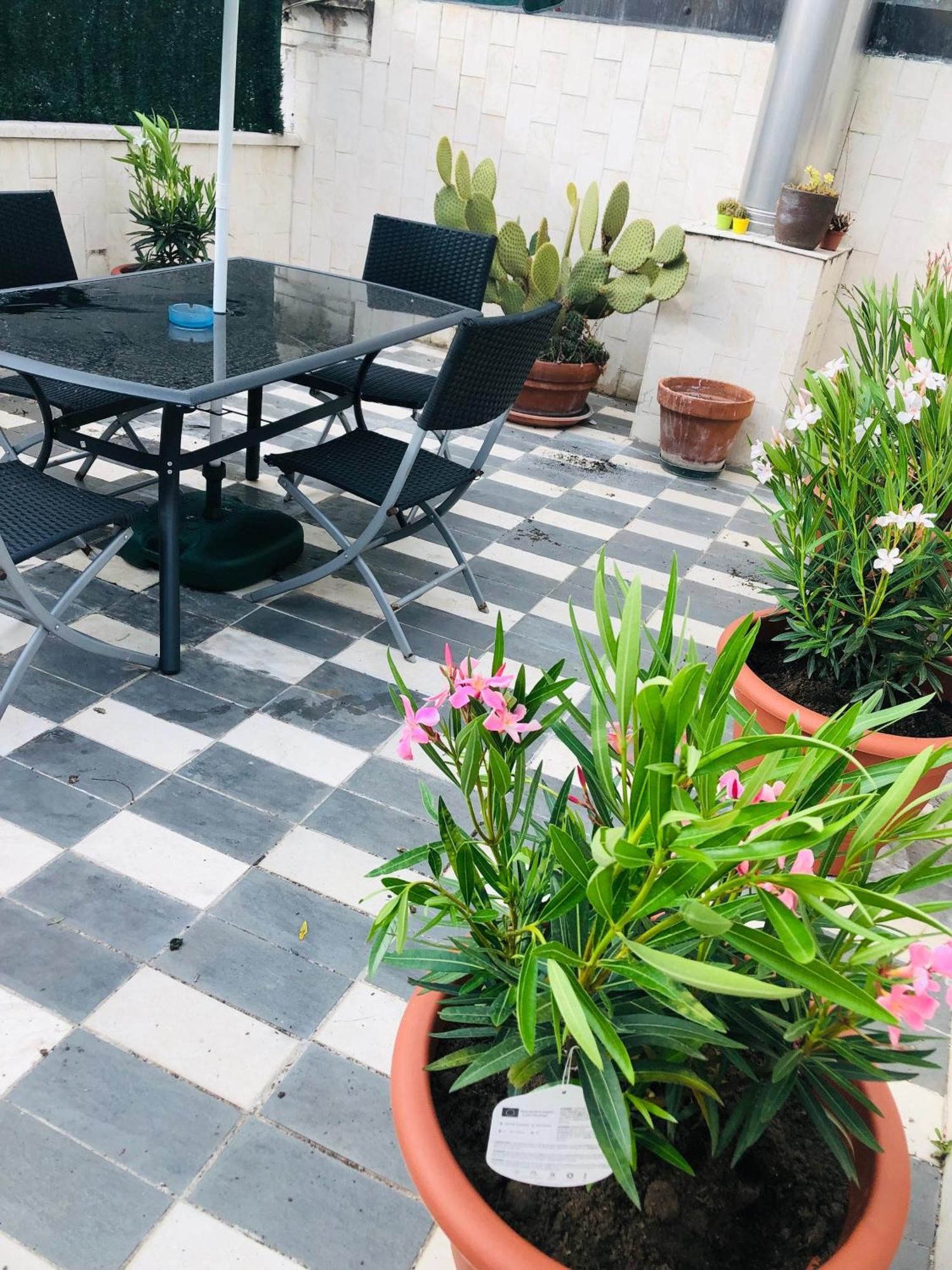 La Terrazza Di Aida Apartment Verona Bagian luar foto