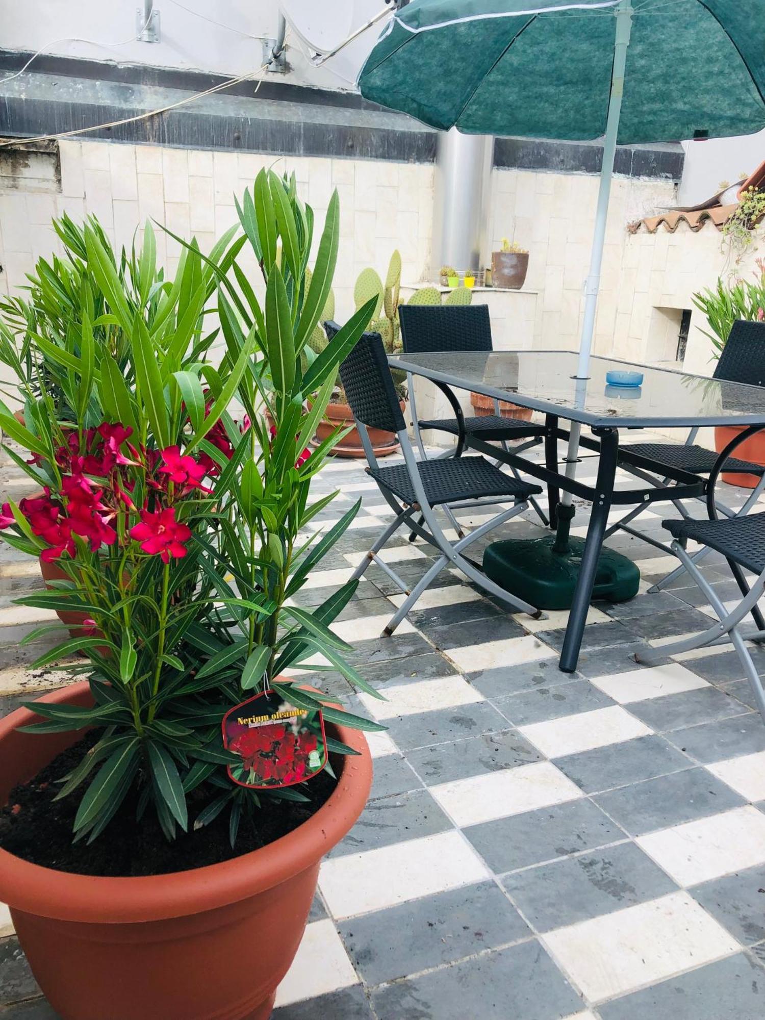 La Terrazza Di Aida Apartment Verona Bagian luar foto